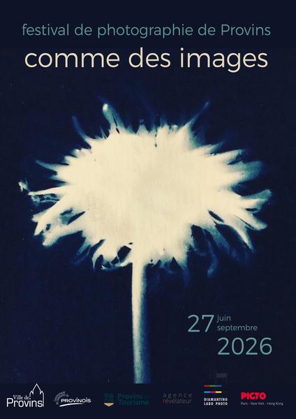 sortie à PROVINS, Seine et Marne. FESTIVAL DE PHOTOGRAPHIE « COMME DES IMAGES » Sortir à PROVINS(Seine et Marne). PROVINS.
