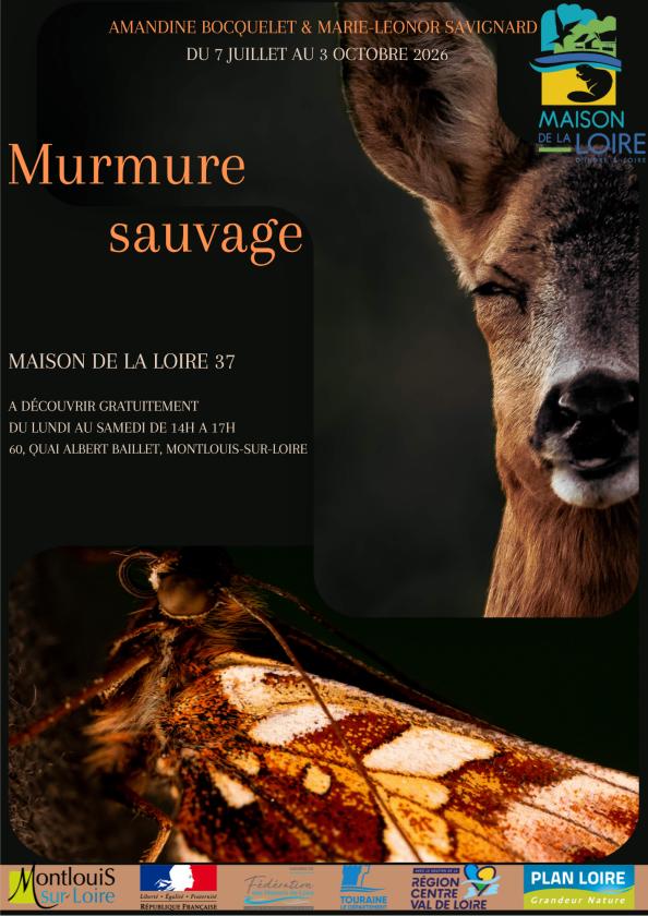 Sortir &agrave; MONTLOUIS SUR LOIRE(Indre et Loire). MONTLOUIS SUR LOIRE.