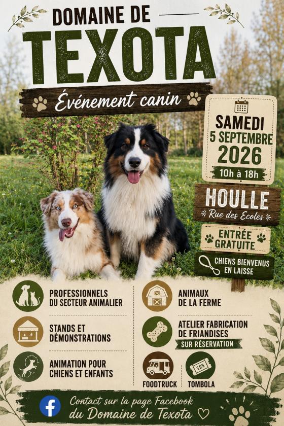 Sortir &agrave; HOULLE(Pas de Calais). HOULLE.