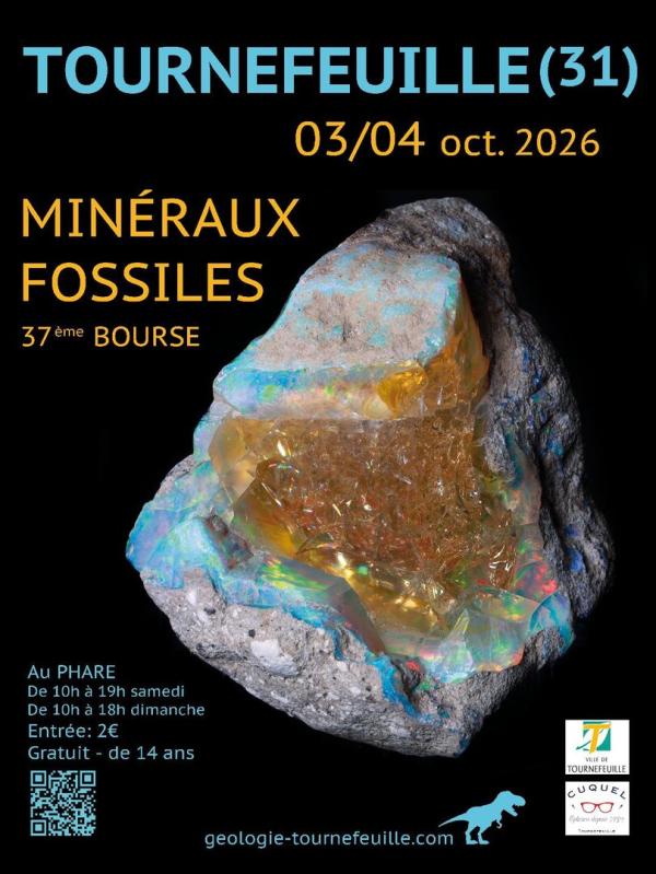 Sortir &agrave; TOURNEFEUILLE(Haute Garonne). TOURNEFEUILLE.