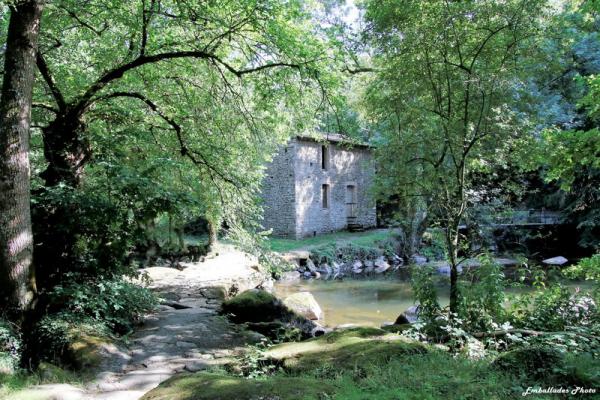 Sortir &agrave; ST LAURENT SUR SEVRE(Vend&eacute;e). ST LAURENT SUR SEVRE.
