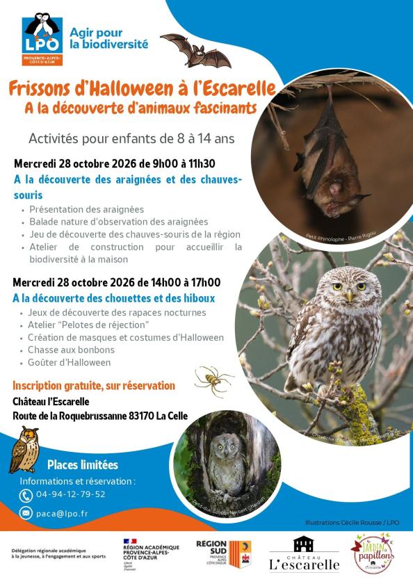 Sortir &agrave; LA CELLE(Var). LA CELLE.