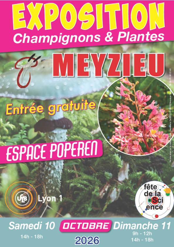 Sortir &agrave; MEYZIEU(Rh&ocirc;ne). MEYZIEU.