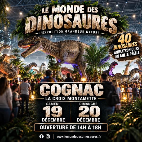 Sortir &agrave; COGNAC(Charente). COGNAC.